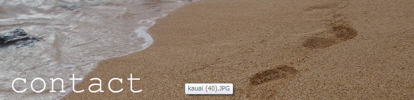 contact.jpg